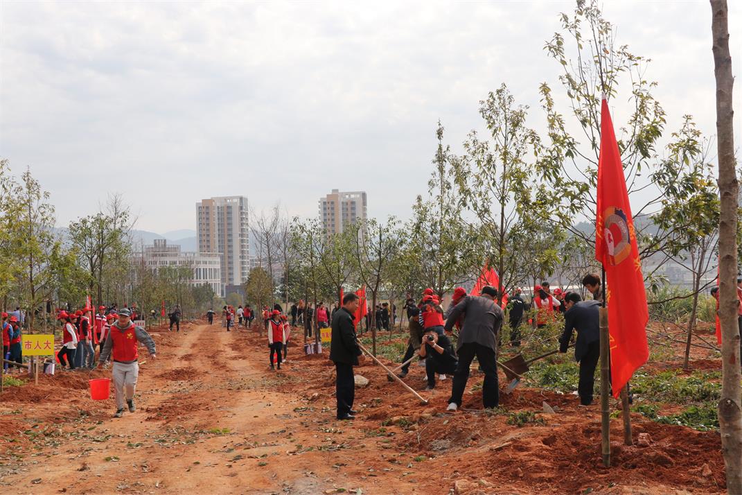 IMG_4407.jpg IMG_4407.jpg