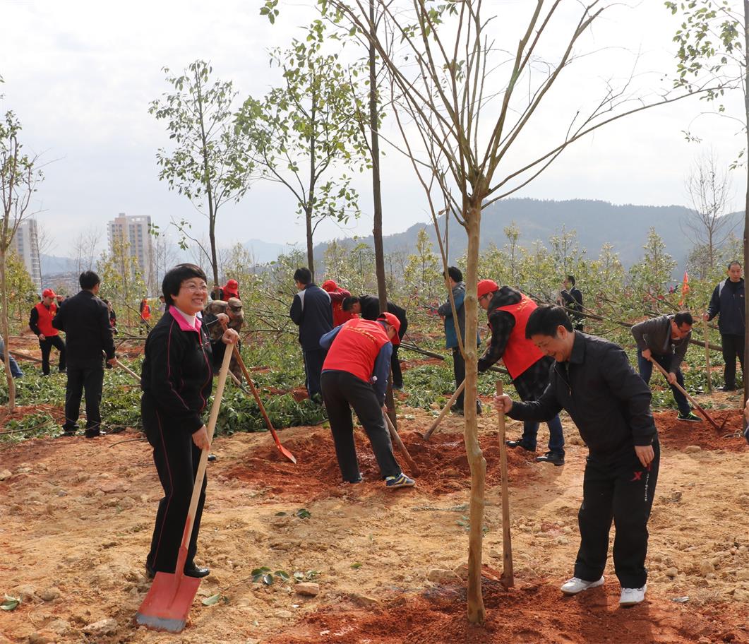 IMG_4402_看图王2.jpg IMG_4402_看图王2.jpg