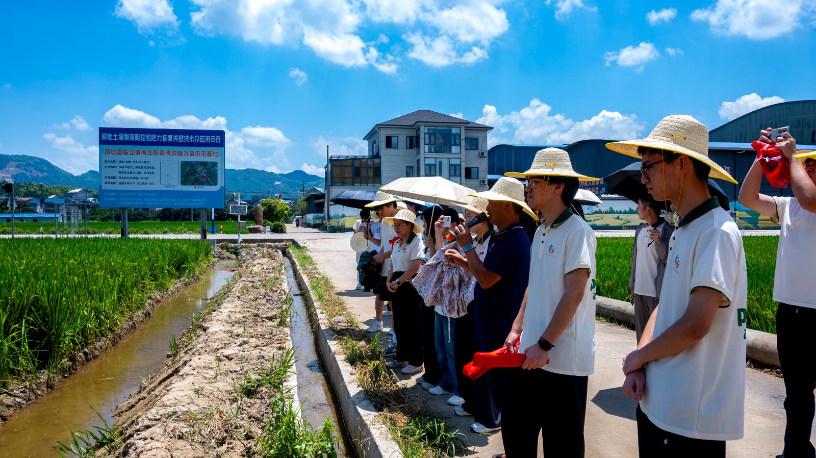 DSC_4777-已增强-降噪.jpg